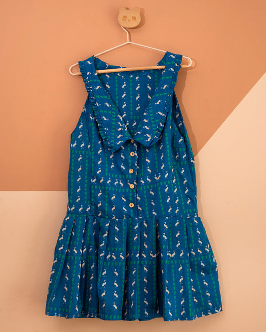 Birdwatch Dress